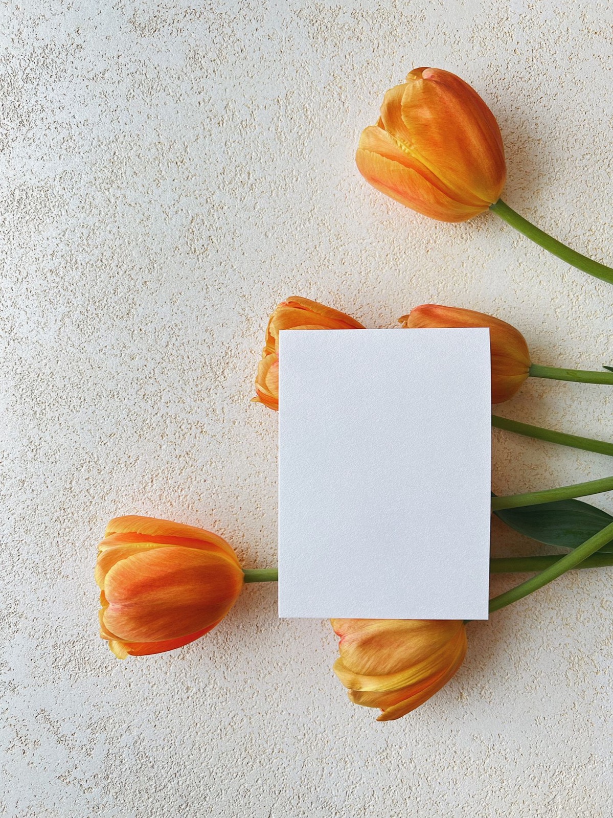A blank card arranged with orange tulips